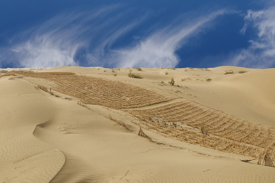 Taklamakan desert II, china