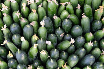 cucumber / cucumbers / vegetable / vegetarian / salad / gurken