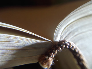 Book pages. Close up photo