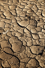 Cracks in drought affected earth