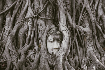 Worship of Thailand,Buddha statue,History of Thailand,Buddha statue Temple of Ayutthaya Province. Ayutthaya Historical Park, Thailand