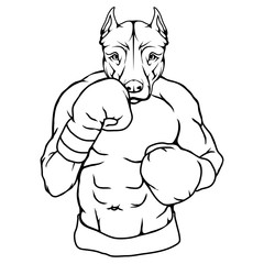 pit bull fighter