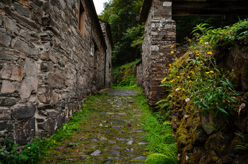 Old town in Asturias, Taramundi