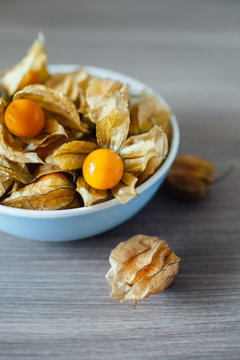 Fresh Physalis Fruits