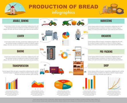 Bread Production Infographics