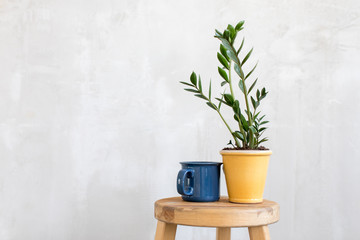 Creative arrangement of flowerpot with green plant and blue mug composed on wooden seat.
