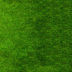 Fototapeta premium Texture green grass. Background of green turf grass. Texture coating of a football field. Green lawn