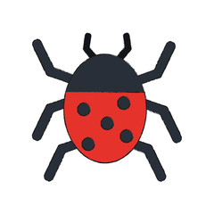 Obraz premium ladybug beetle insect or bug icon image vector illustration design