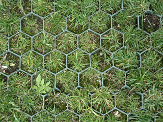 Lawn protector