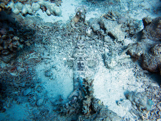 Unterwasser Ägypten