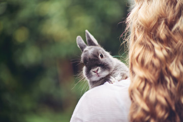Teenage girl with a small grey rabbit