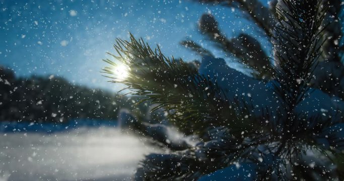 CINEMAGRAPH, 4k, falling snow in the winter forest, loop