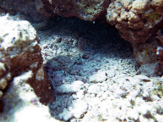 Unterwasser Ägypten