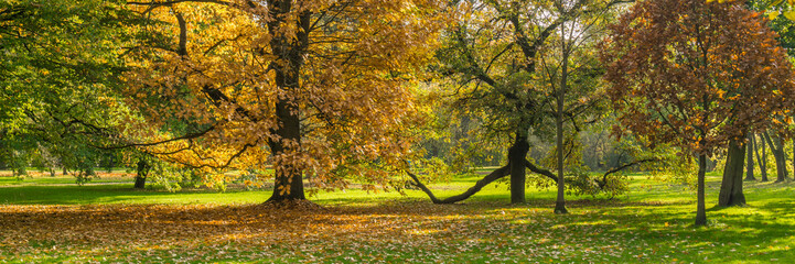 Autumnal impressions in a park, the Karlsaue in Kassel, Germany