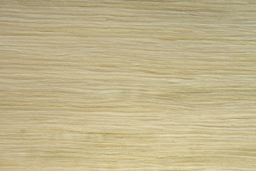 Backdrop or background wooden. Veneer white elm tree.