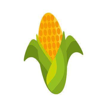sweet corn cartoon thanksgiving day symbol