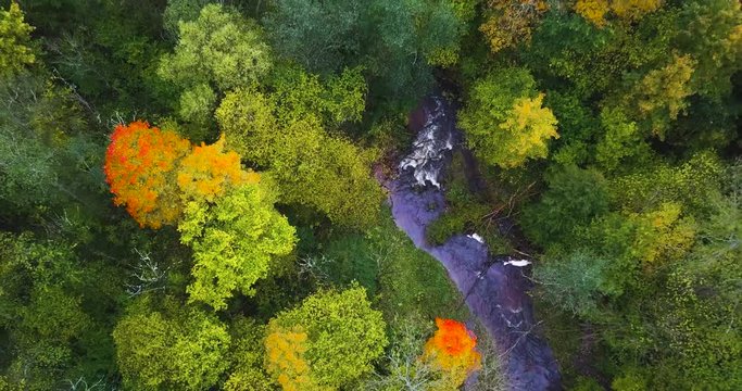 Above the river at Fall | Lithuania | Europe