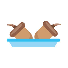 autumn acorn in dish nature food nuts