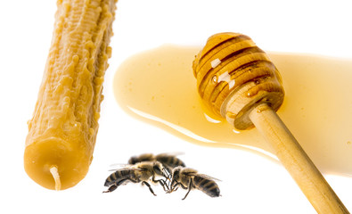 Bees products - honey and Candle made of beeswax isolated on a white background