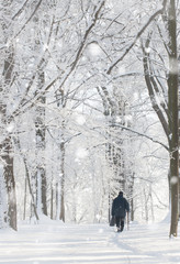 loneliness in winter- a lonely senior man walking through the park