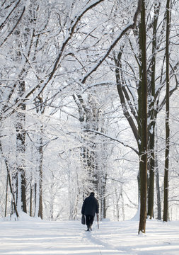 loneliness in winter- a lonely senior man walking through the park