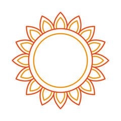 sunflower natural plant petal decoration