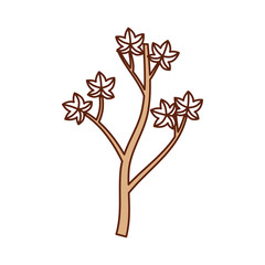 Obraz premium autumn branch of tree and leaves seasonal