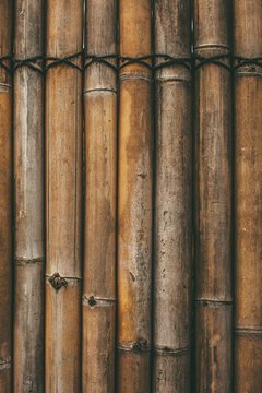 Bamboo background.