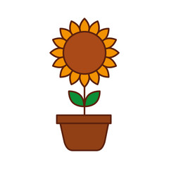 Obraz premium potted sunflower natural plant petal decoration