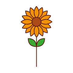 flower petal floral decoration nature