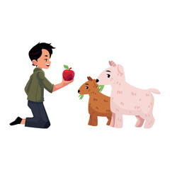 vector flat cartoon young teen boy feeding domestic animal - goats giving them apple. Children at farm concept. Isolated illustration on a white background.