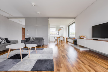 Spacious living room with tv