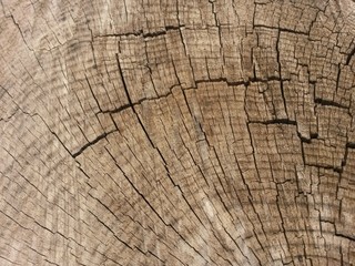 Naklejka premium bois coupe fissures