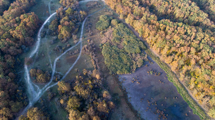 Fototapeta na wymiar Aerial view of forest in autumn
