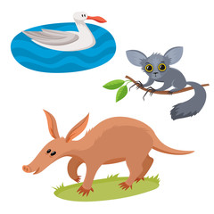Set of wild animals in cartoon style, vector illustration of albartoss, aardvark and aye-aye