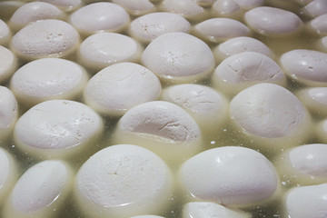 Making homemade mozzarella cheese, cheese ripens in brine © Shchipkova Elena