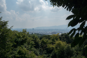 Fototapeta na wymiar View of the city from the hill. City in front of which forest. Cityscape with mountains and forest