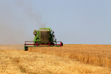 Obraz premium Harvester in the field harvesting barley