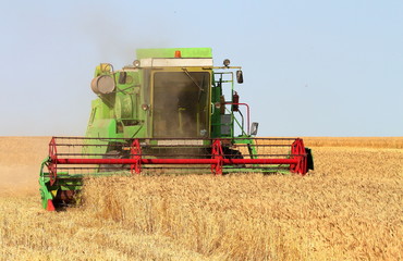 Harvester in the field harvesting barley