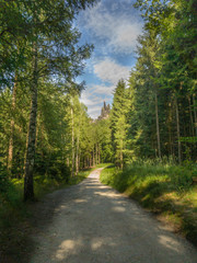 Naklejka premium Blick zum Affenstein