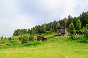 Obraz premium Mountain Houses in Ayder Plateau