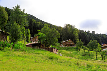 Fototapeta na wymiar Mountain Houses in Ayder Plateau