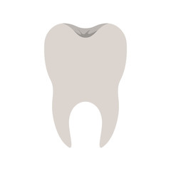 healthy tooth with root in colorful silhouette