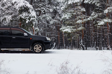 car on a winter forest background