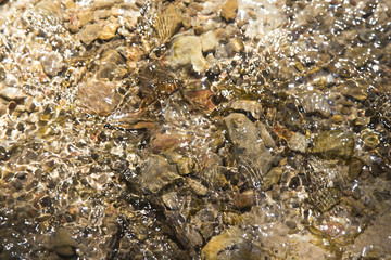 Glitter sparkles from the water.