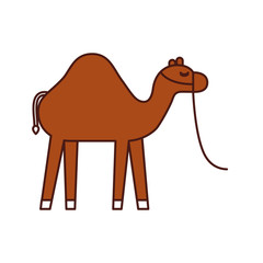 camel animal manger christmas cartoon