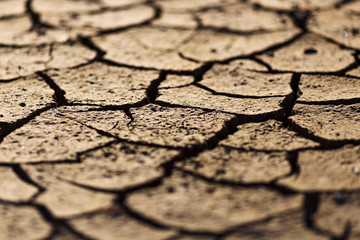 Cracks in drought affected earth