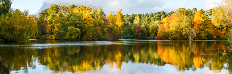 Image of autumn trees and pond