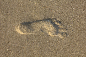 footprint isolated on beach