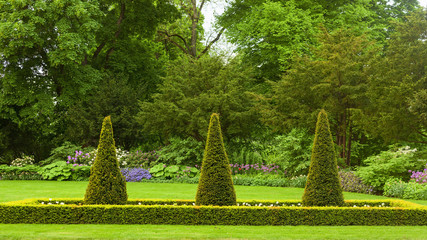 slottsparken trees view in the city oslo